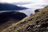 Oliver Sound