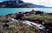 Moon Creek, South Pangnirtung Fiord