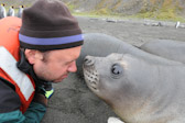 Elephant seal pup & scientist