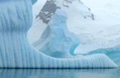 Fluted Iceberg