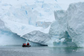 Zodiac, Icebergs & Glacier
