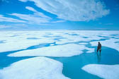 Spring Sea-Ice, Admiralty Inlet