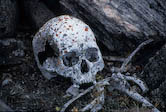 Open Grave, Bylot Island, Nunavut