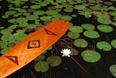 Paddle & water Lily, Kenisis Lake Ontario Canada