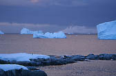 Icebergs & Penguin – Antarctica