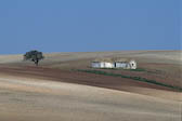 Farmland - Andalusia Spain