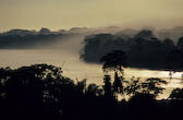 Tambopata River- Peru